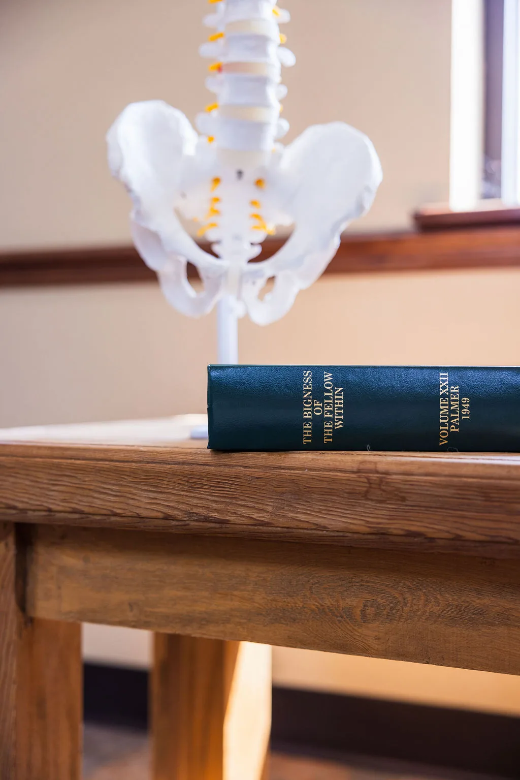 A Palmer chiropractic book lies on a wooden table in front of an anatomical spine and pelvis model.